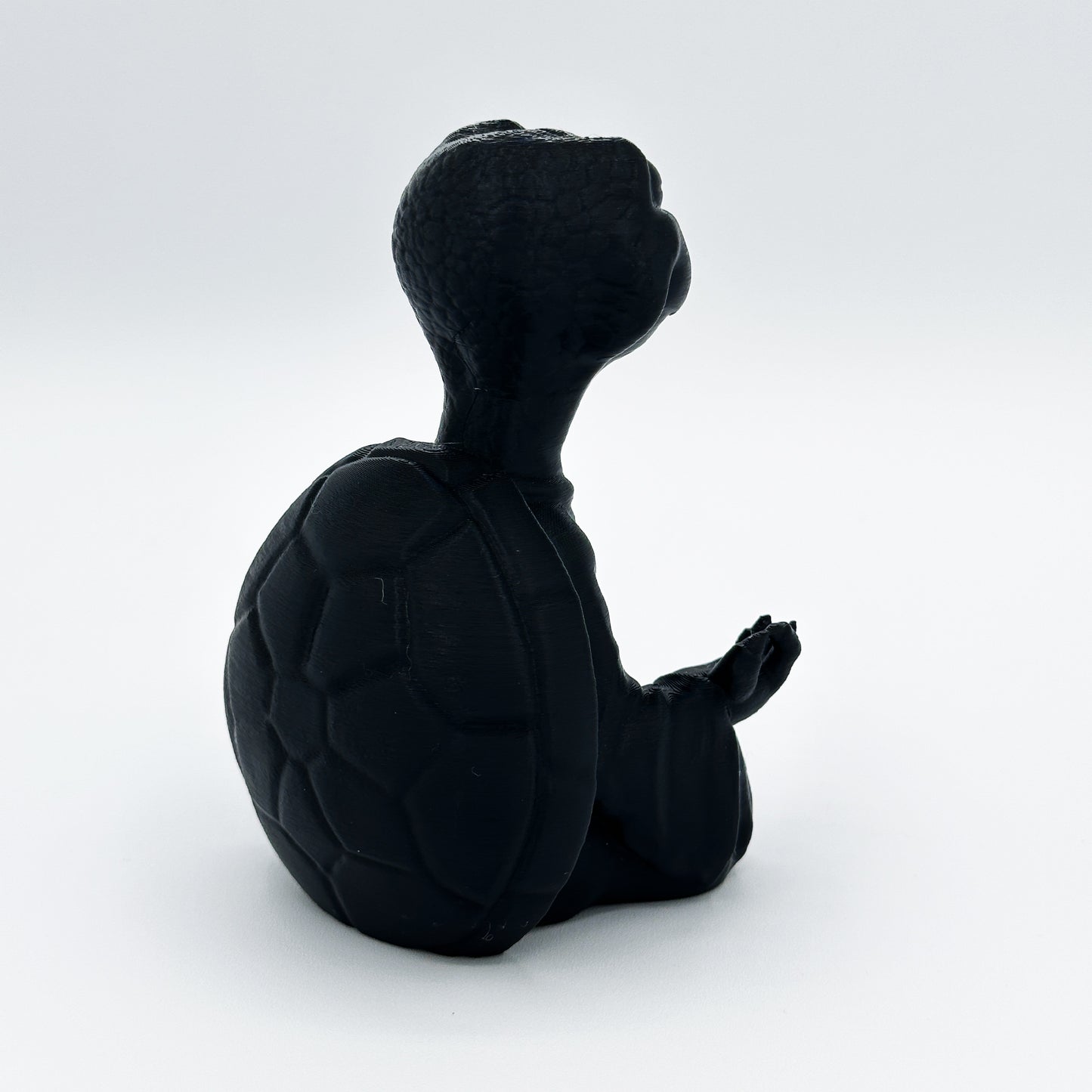 Highly Obtainable Zen Turtle