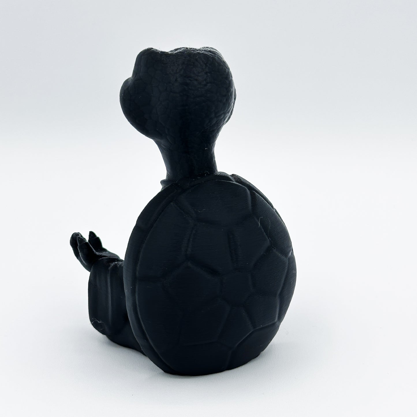 Highly Obtainable Zen Turtle