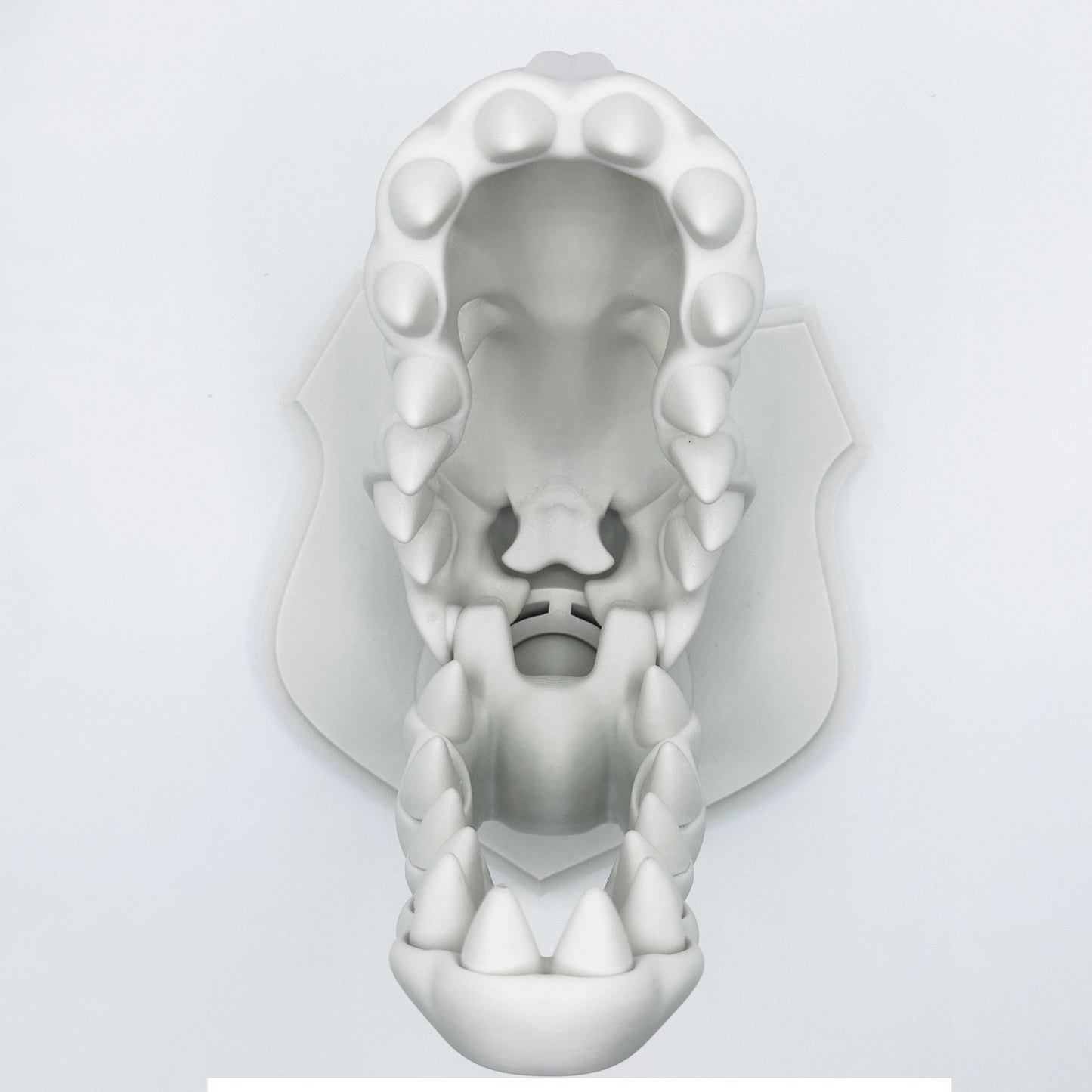 Wall Mounted Trex Skull