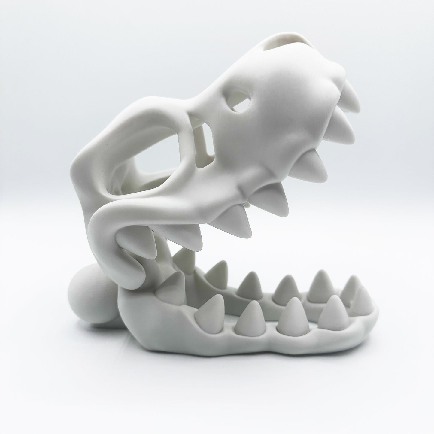 Wall Mounted Trex Skull